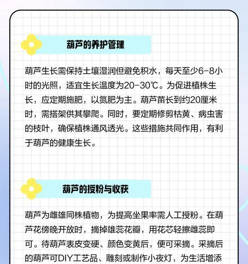 催芽后种植葫芦的最佳方法是什么？步骤和注意事项有哪些？