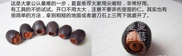 灵胆草种植方法有哪些？如何确保种植成功？