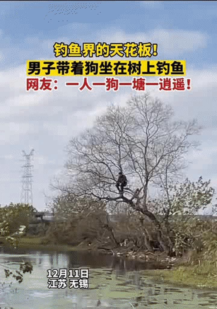 狗杆子树怎么种植方法？需要哪些步骤和注意事项？