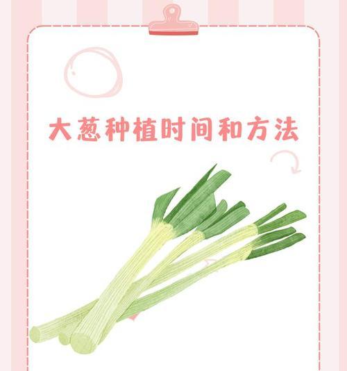 春葱长花苞的种植方法是什么？如何确保花苞健康成长？