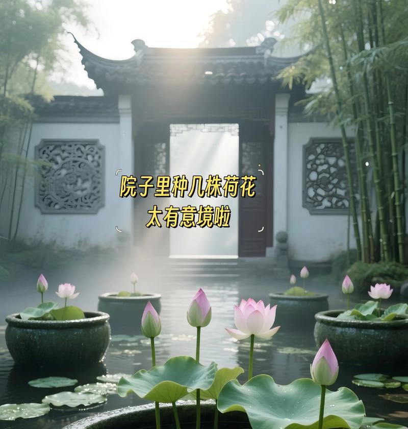 藕带藕怎么种植方法？种植步骤和注意事项是什么？