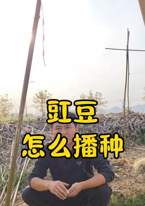 种豇豆催芽方法是什么？如何提高发芽率？