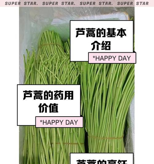 泥蒿种植方法是什么？如何正确种植泥蒿？