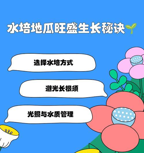 水果地瓜种植方法有哪些？如何确保高产？
