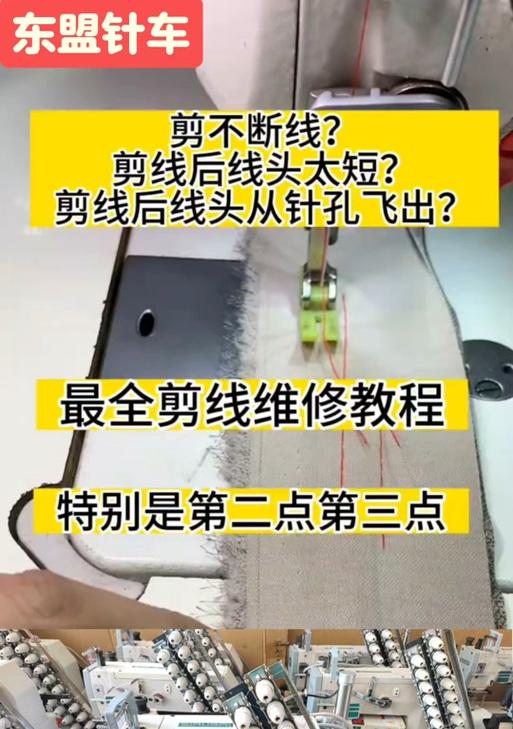 修剪枝条的正确方法是什么？底线修剪枝条需要注意哪些问题？