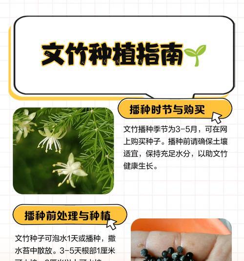 文竹籽催芽方法是什么？需要多长时间才能发芽？