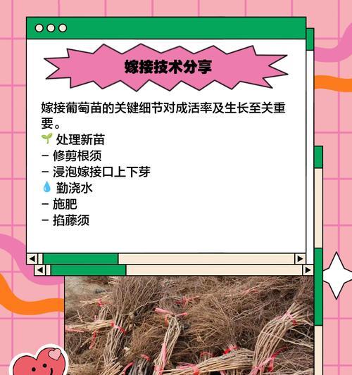 葡萄树催芽方法是什么？种出来的葡萄树需要注意什么？