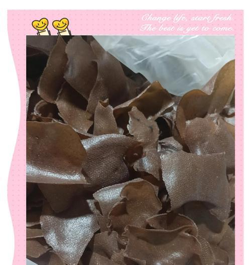 苦槠子种植催芽方法是什么？需要多长时间才能发芽？