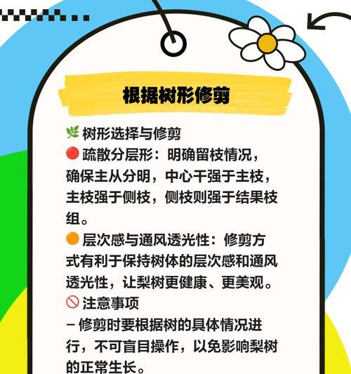 小梨树修剪枝的最佳时机是什么时候？修剪后如何护理？