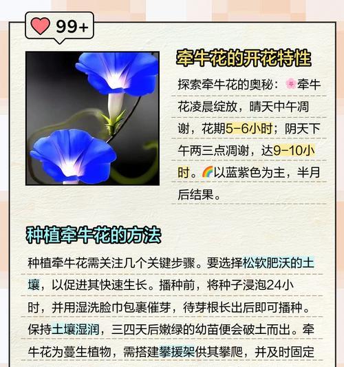 牵牛花催芽方法是什么？需要多长时间才能发芽？