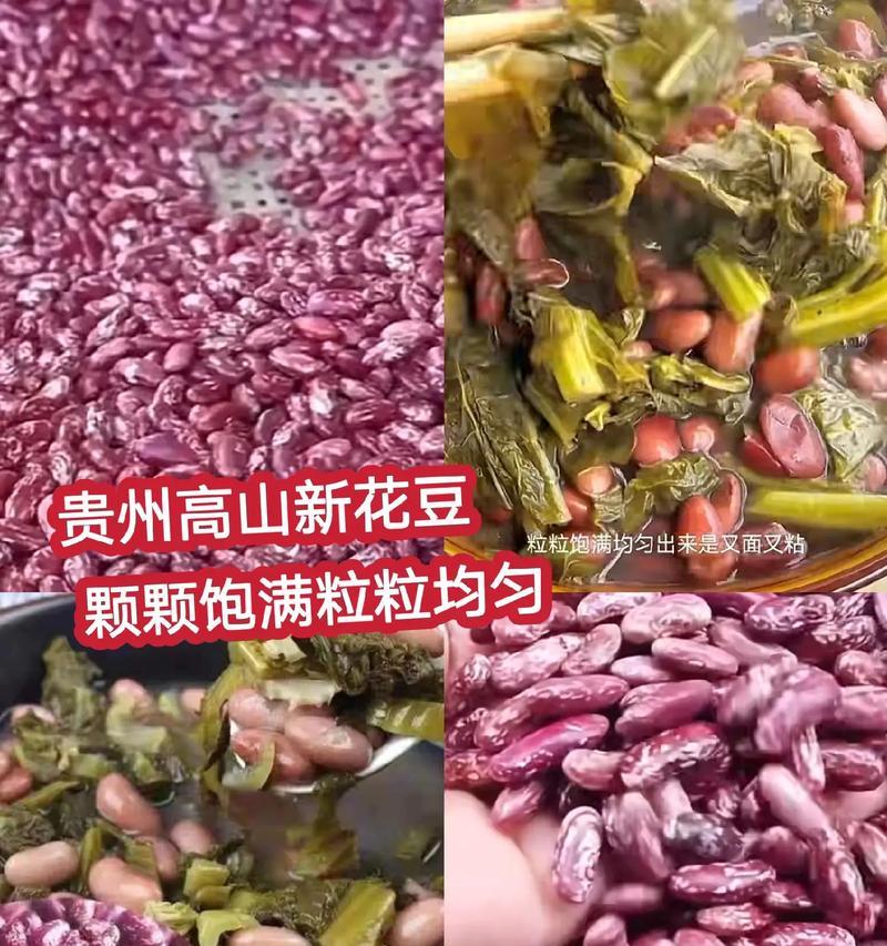 花豆怎么种植方法？步骤和注意事项是什么？