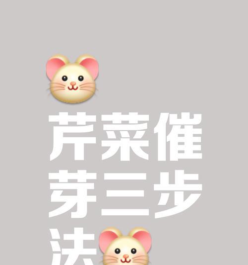 催芽不发芽怎么办？如何解决种子催芽后不发芽的问题？