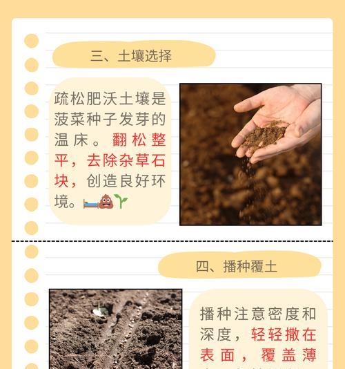 发芽慢的种子怎么催芽？有效催芽方法有哪些？