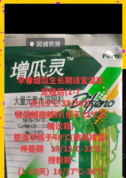 甜瓜催芽后播种时芽尖应该朝上还是朝下？