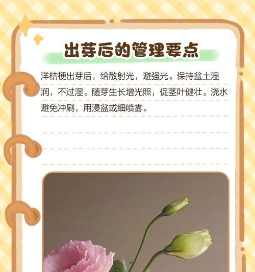 毛桔梗催芽方法是什么？需要多长时间才能发芽？