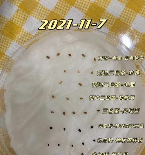 瓶盖催芽方法是什么？用瓶盖催芽需要注意什么？
