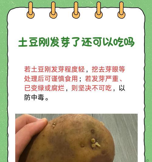 土豆切片后如何快速催芽？有效方法有哪些？