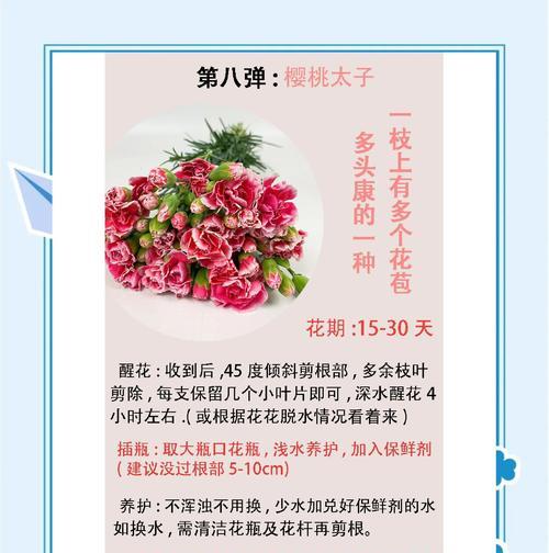 康乃馨种植方法有哪些？如何正确种植康乃馨？