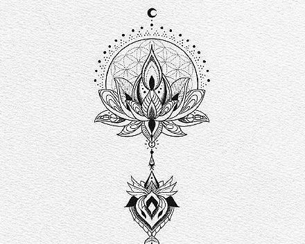 梵花象征着什么？梵花的寓意有哪些？