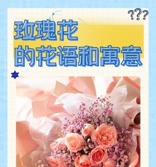 梵花象征着什么？梵花的寓意有哪些？