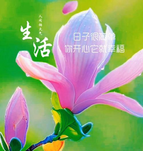 各自生花的寓意象征是什么？各自生花代表什么意义？