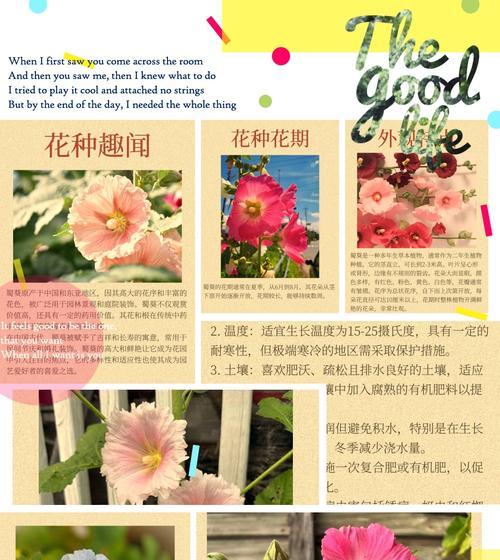 104朵花代表什么含义？花语背后隐藏的深层意义是什么？
