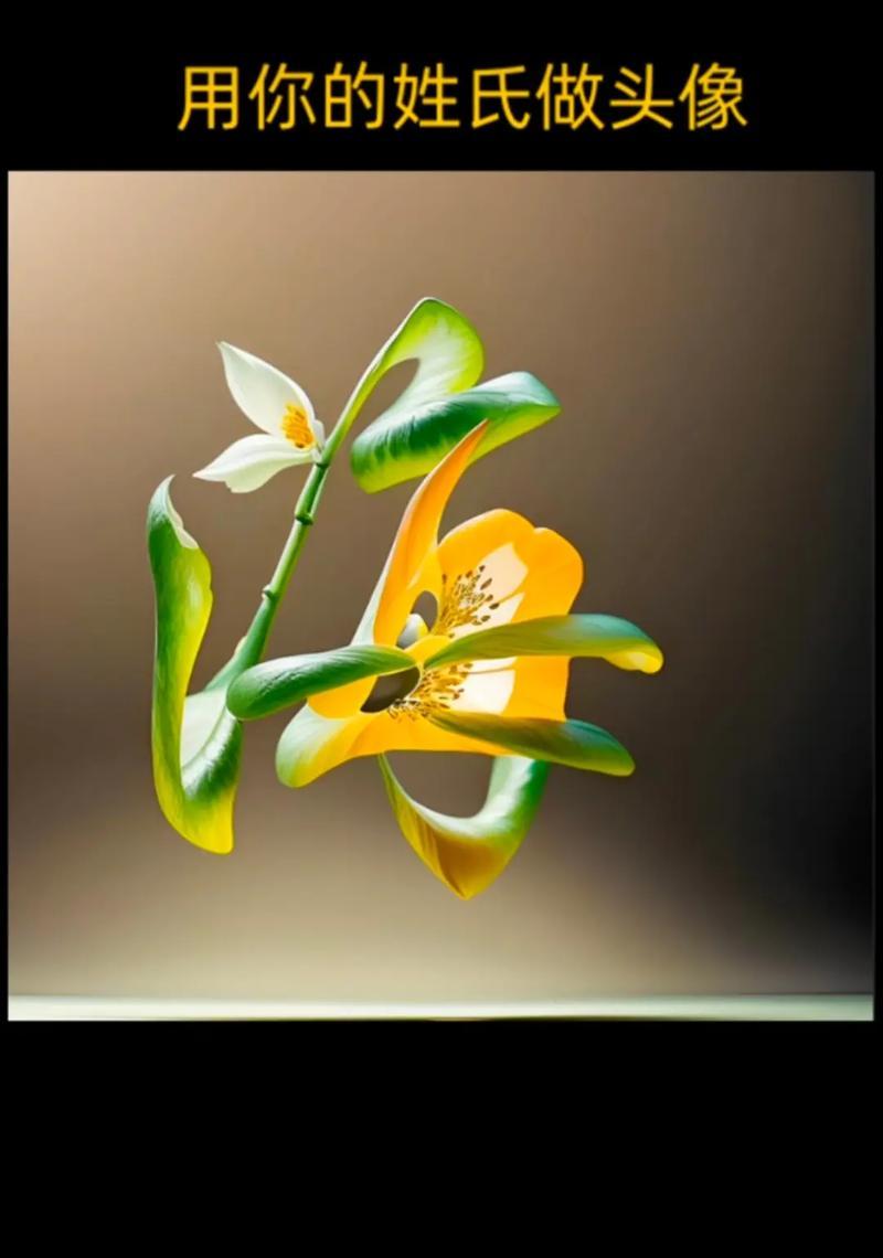 戴花的寓意和象征是什么？不同花卉代表的含义有哪些？