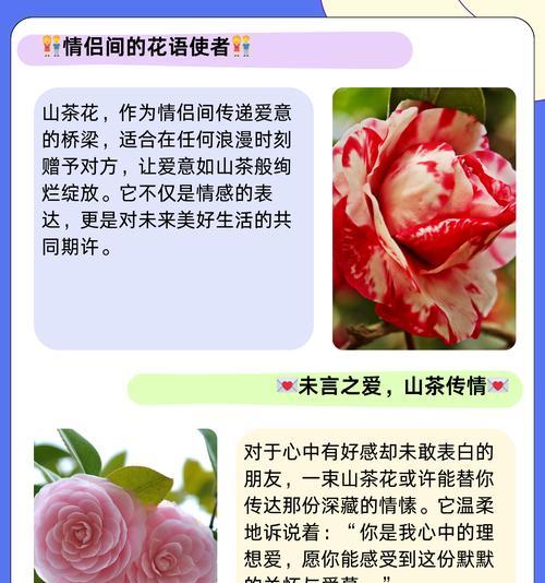 送什么花花语是什么？每种花的含义你了解吗？