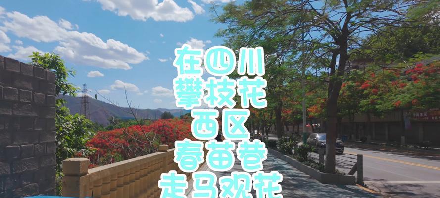 走马与观花有何不同？为什么走马不象征观花？