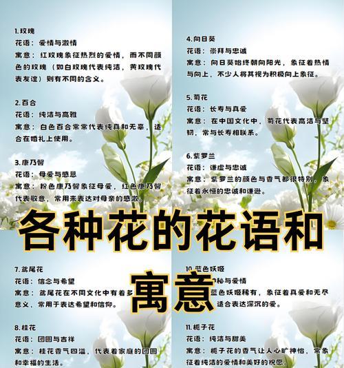 康乃馨花语代表什么？不同颜色的康乃馨分别象征什么含义？