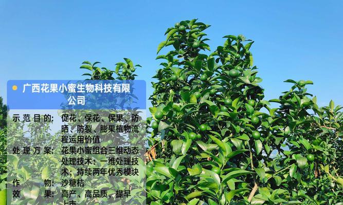 生花熊的含义和象征是什么？如何理解生花熊在文化中的地位？