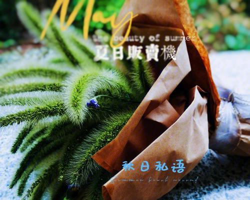 蹄花的花语是什么？蹄花代表的含义有哪些？