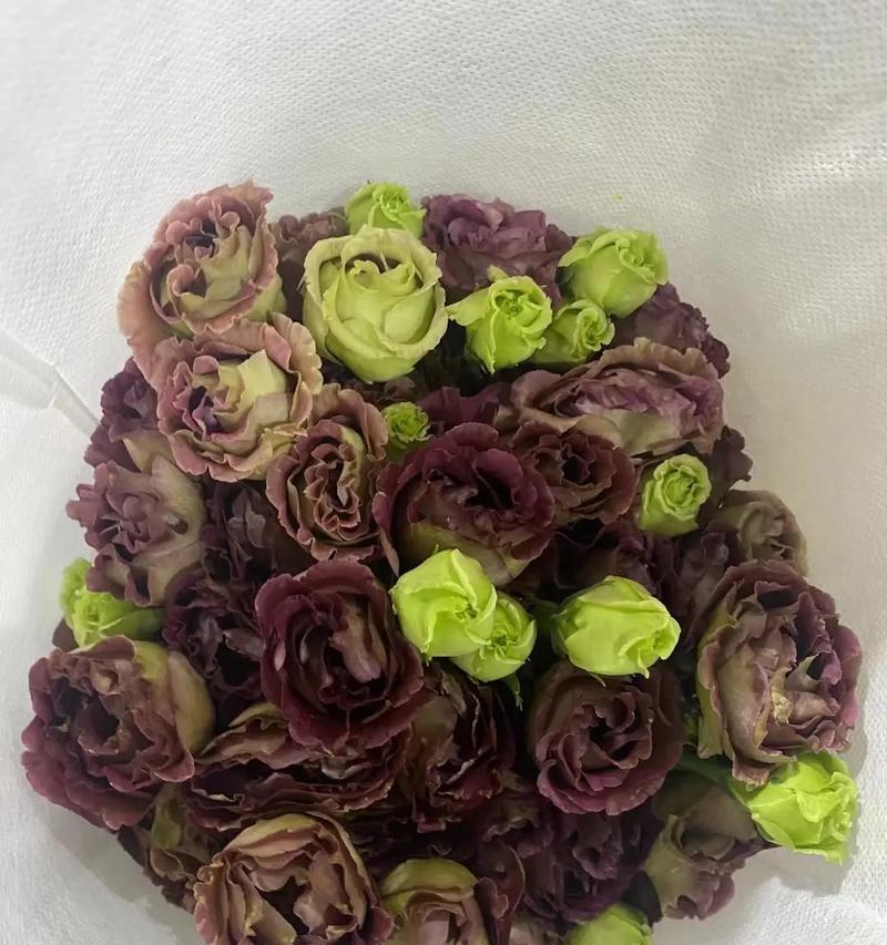 什么花语没有梗？揭秘无梗花卉的含义是什么？