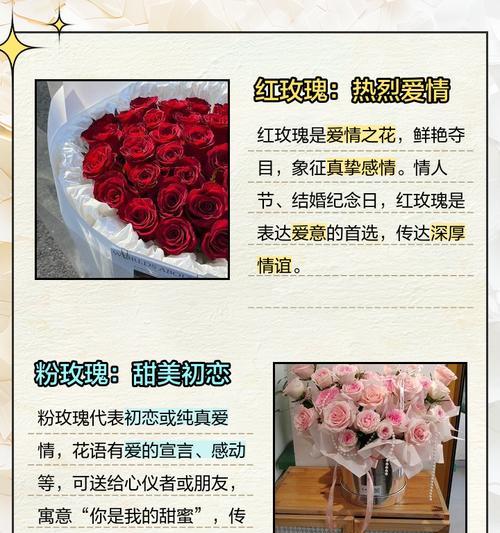 红玫瑰的花语代表什么？如何正确解读红玫瑰的含义？