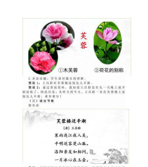 芙蓉花语是什么？芙蓉花代表的含义有哪些？