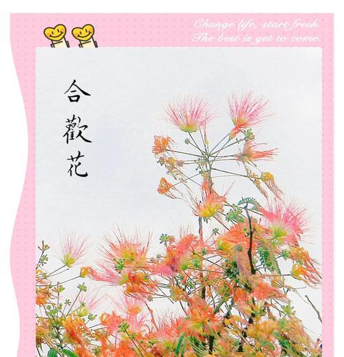 象征爱情唯一的花是什么花？揭秘爱情中独特的花卉象征
