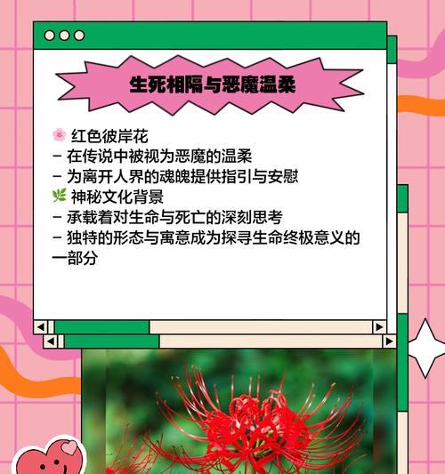 恶魔之花代表什么含义？它的象征意义有哪些？