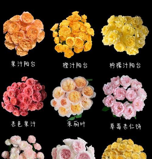 草莓杏仁花语是什么？了解其象征意义及用途