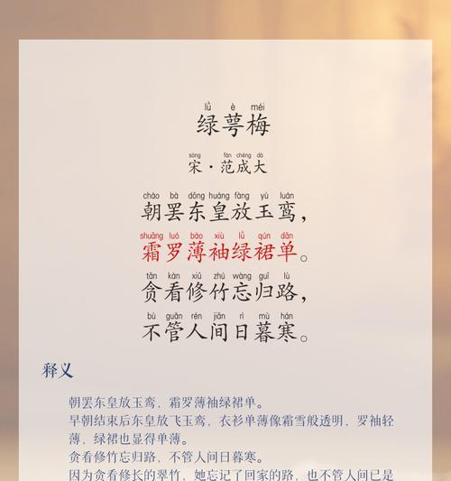 梅花的花语是什么？梅花代表的含义有哪些？