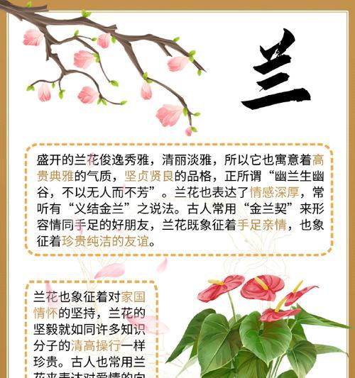梅花的花语是什么？梅花代表的含义有哪些？
