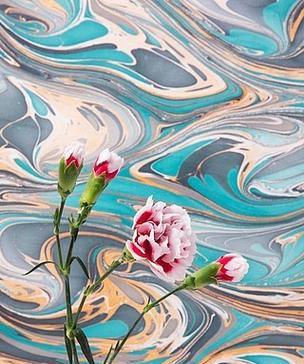 象征迷幻的花是什么花啊？这种花有哪些特点和象征意义？