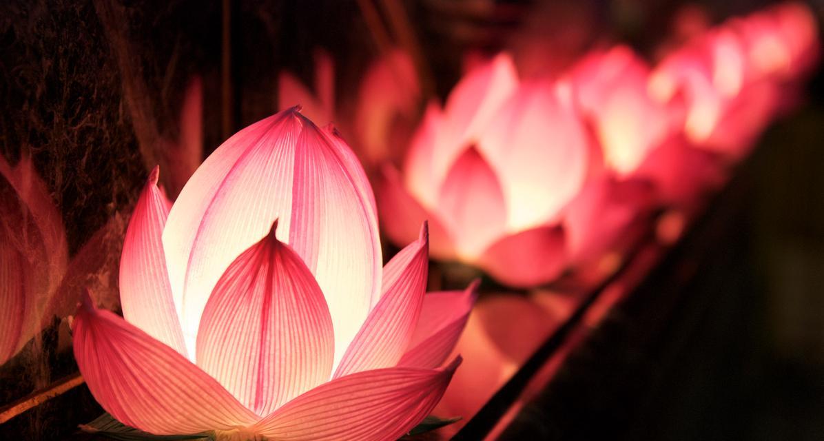 象征希望祈福的花是什么花？如何选择寓意吉祥的花卉？