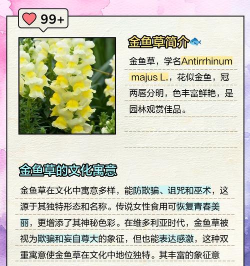 金鱼草花的寓意是什么？有哪些禁忌需要注意？