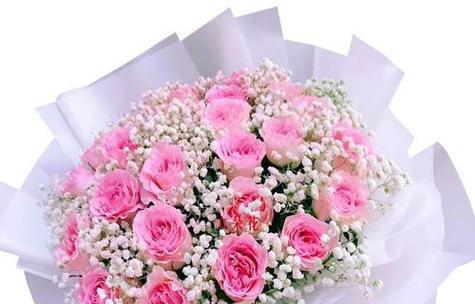 玫瑰芭蕾花语代表什么？如何正确解读玫瑰芭蕾的含义？