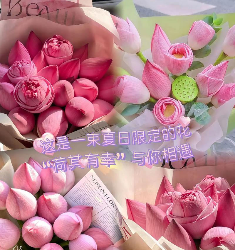 粉荷花代表什么含义？粉荷花的花语有哪些？