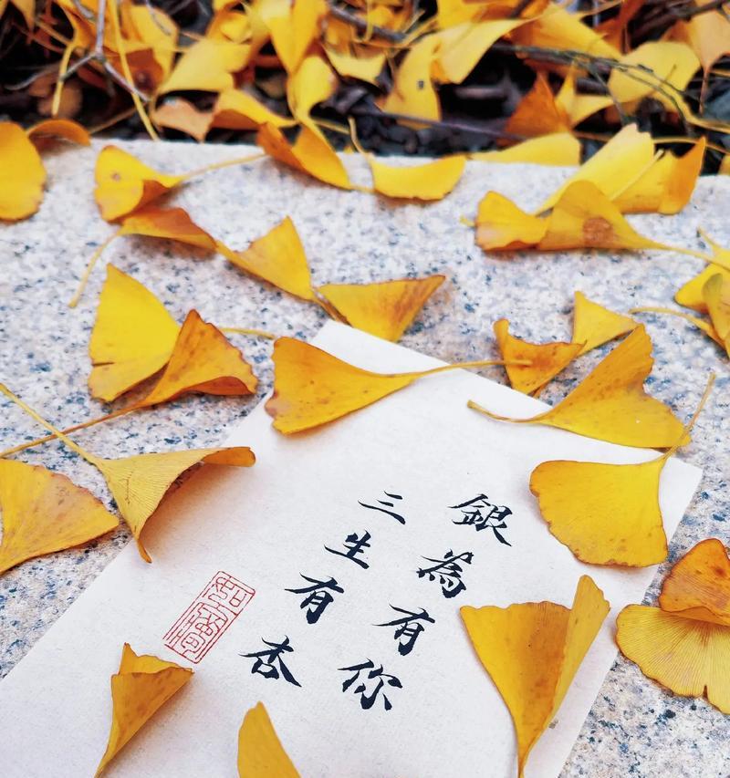 银杏花语是什么？银杏花代表了哪些含义？
