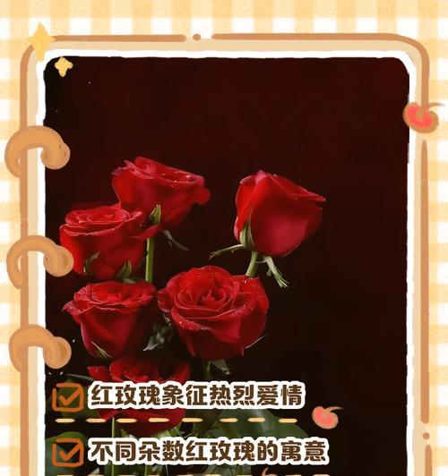 广场送玫瑰花的寓意是什么？送花背后的含义有哪些？