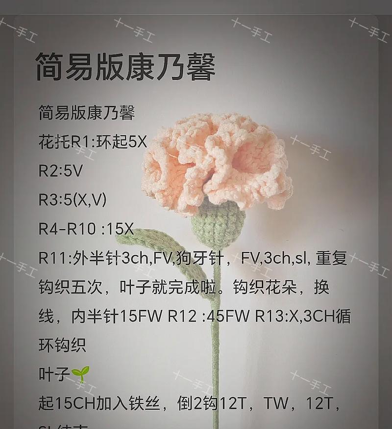 康乃馨花语有哪些含义？如何正确解读康乃馨的花语？