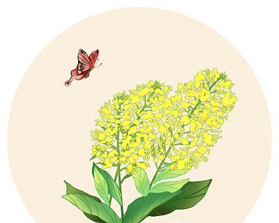 动漫中象征的花有哪些含义？它们代表了什么？