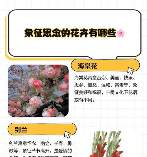 象征着思念与爱意的花是什么？哪种花最能表达深情？